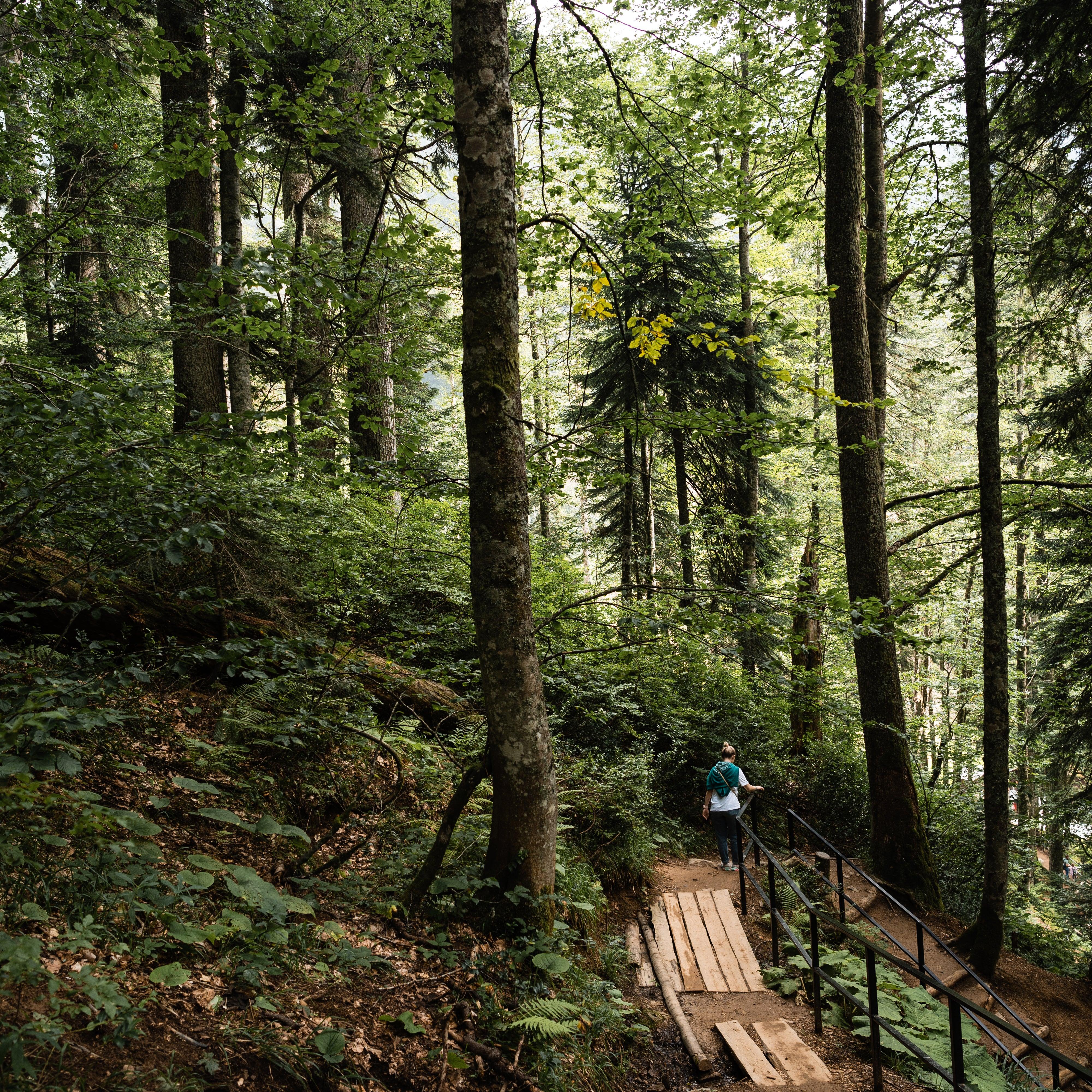 Är det verkligen vi människor som styr världen? - Floranie Skincare