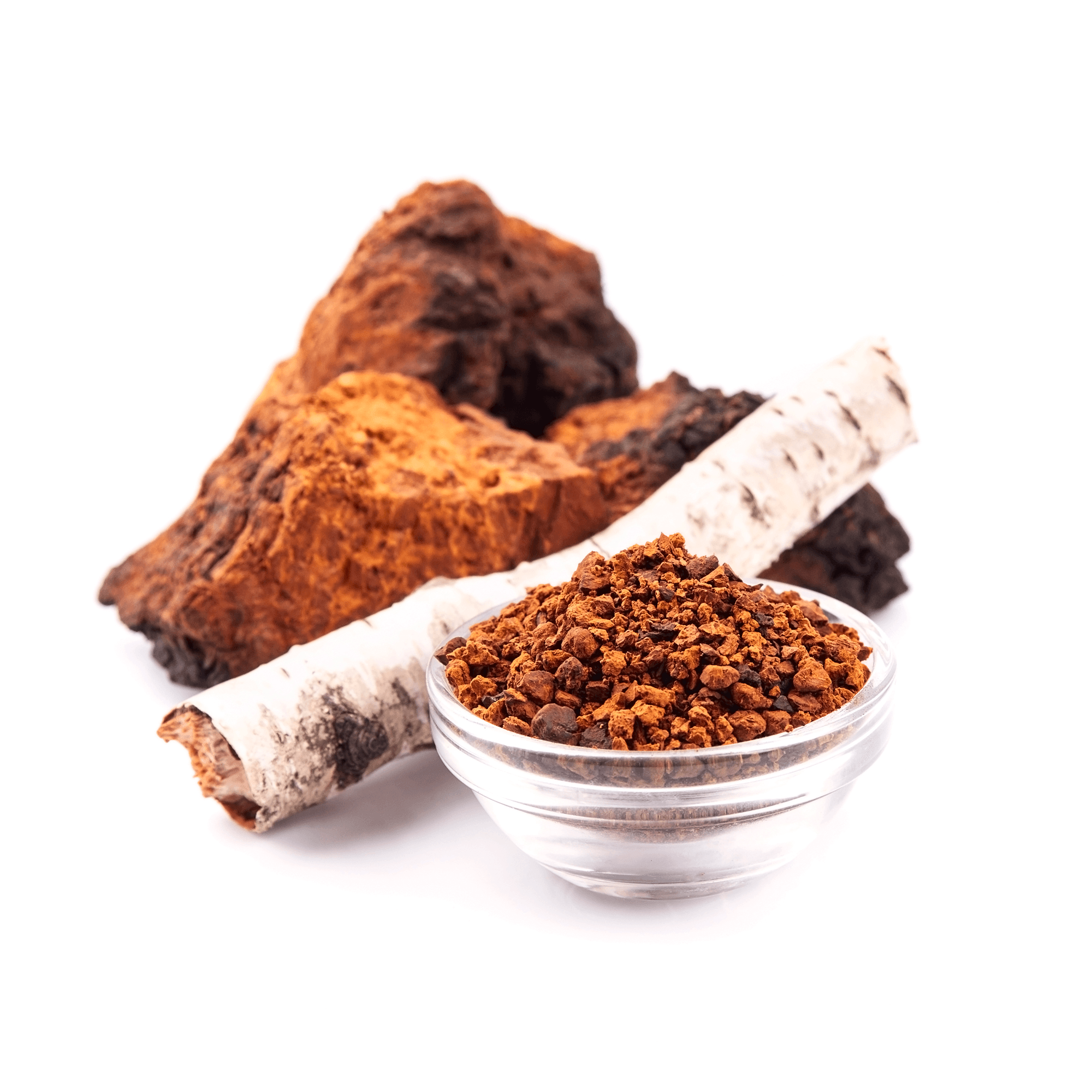 Chaga Svamp || En komplett guide