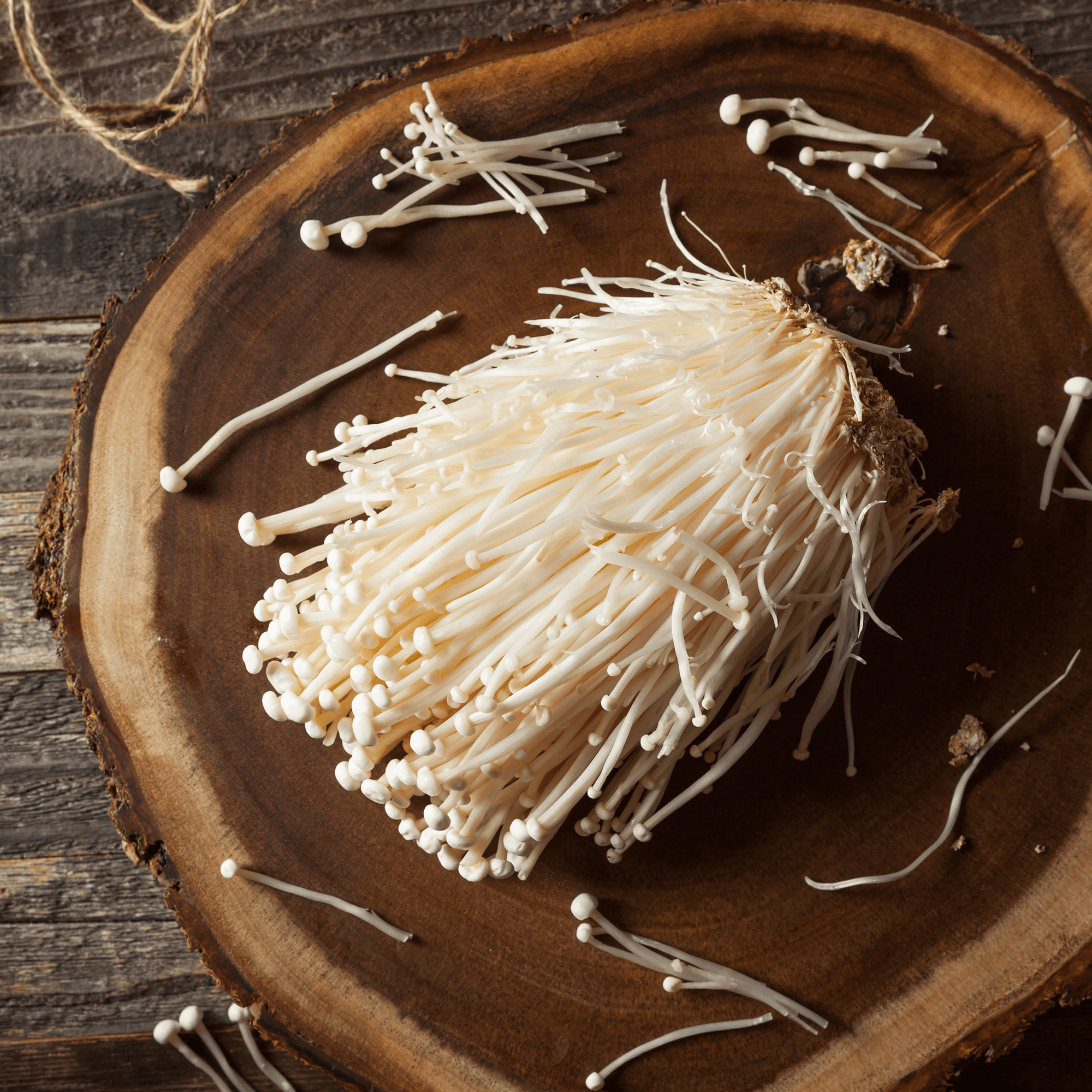 Lion's Mane || En komplett guide