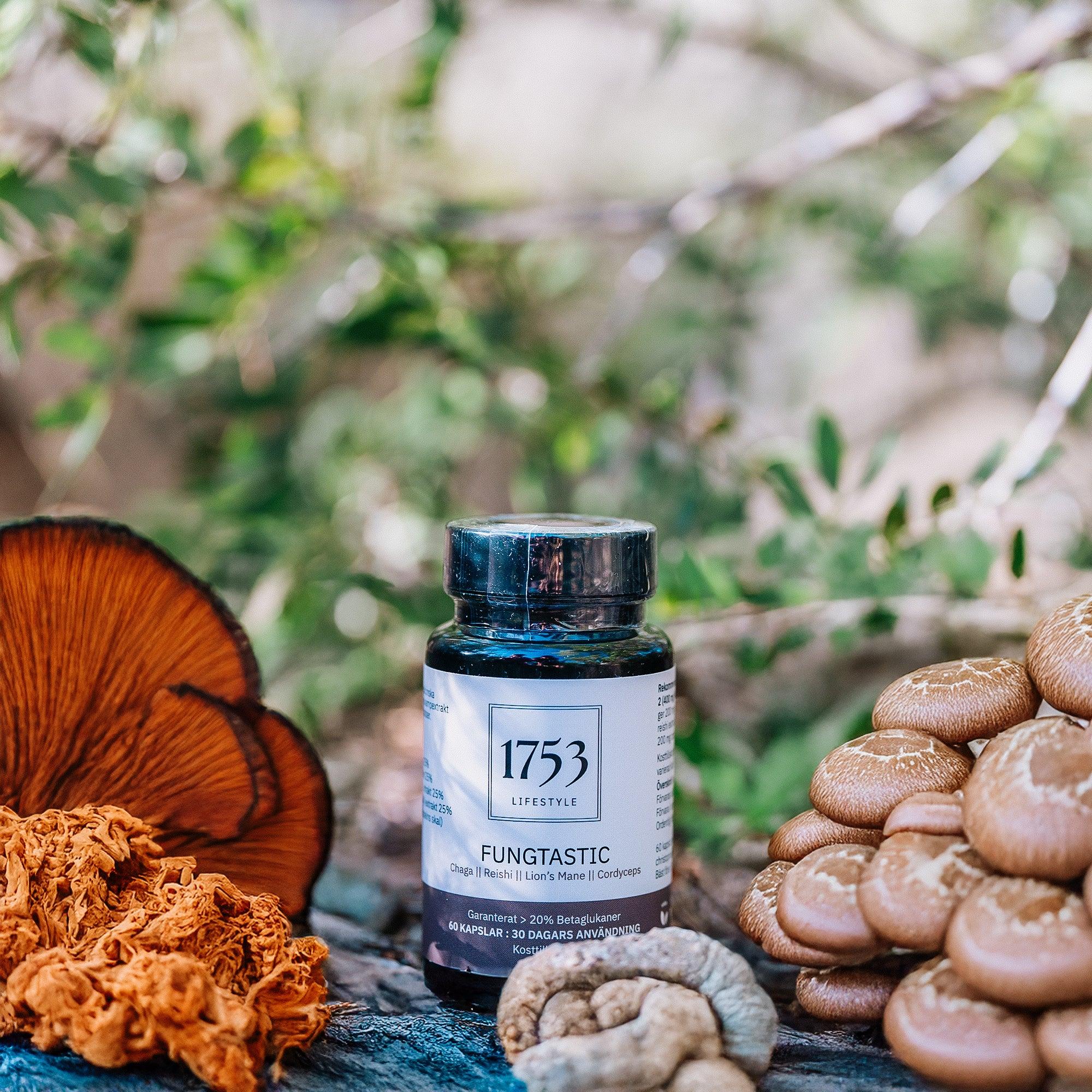 Fungtastic Mushroom Extract